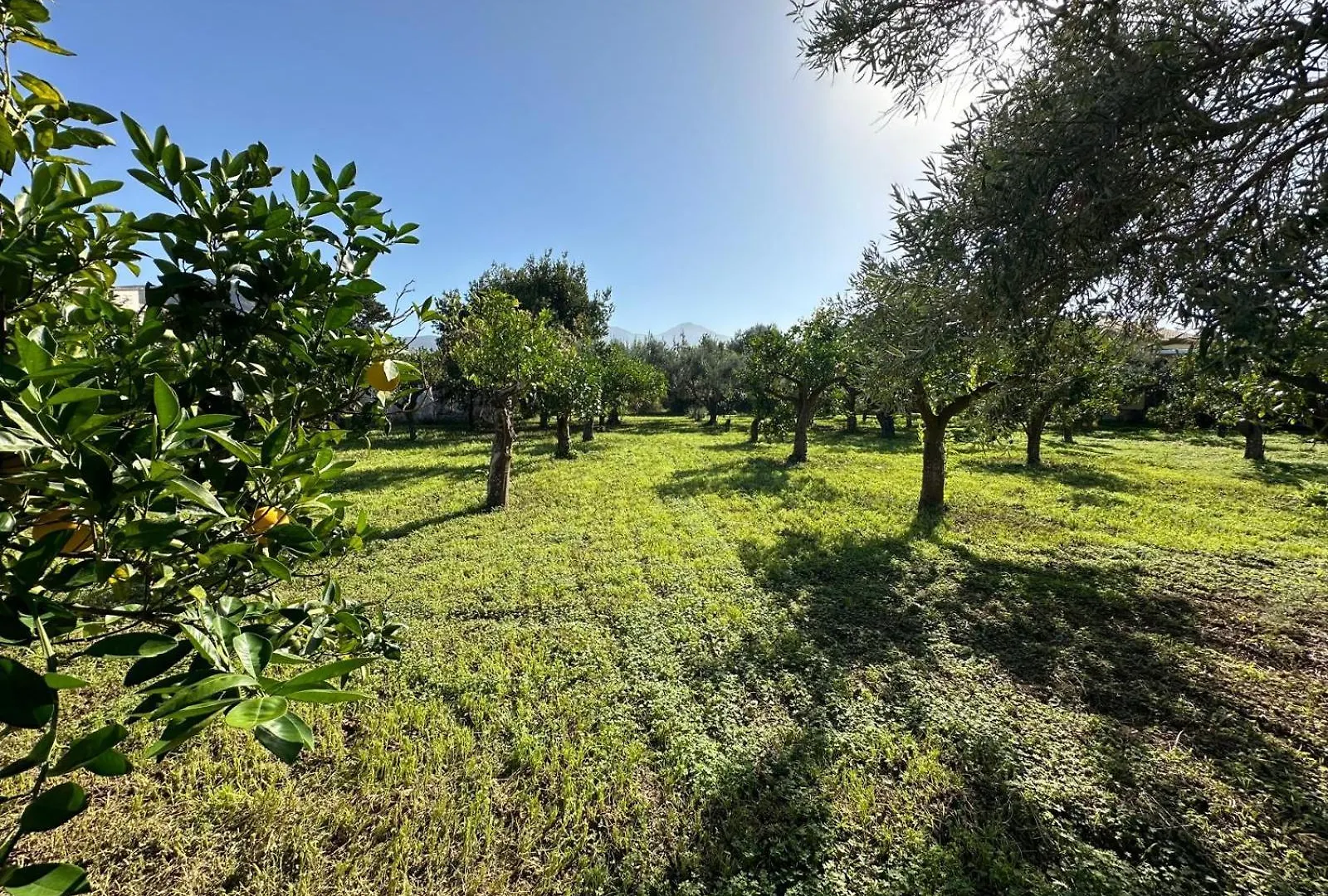 Villa Levante, Relax Esclusivo In Riva Al Mare Vicino Cefalu Lascari